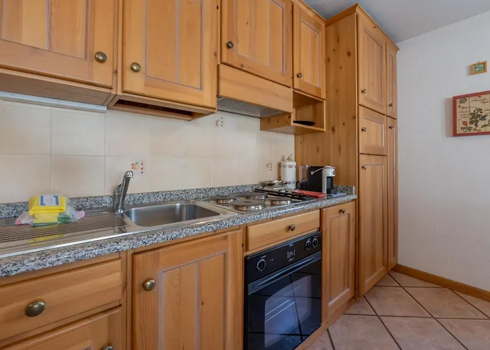 Jardins D'androsace Daire *