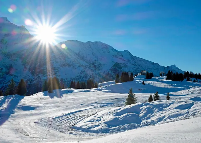 Jardins D'androsace * Chamonix